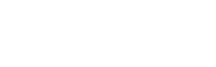 Experiencia